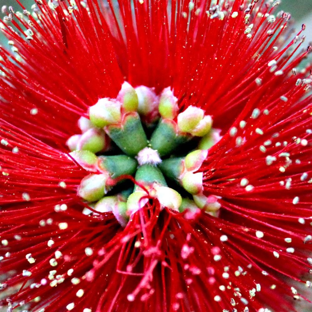 Meet your Posher, Geraldine